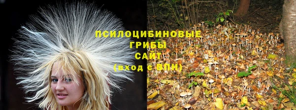 Альфа ПВП Беломорск